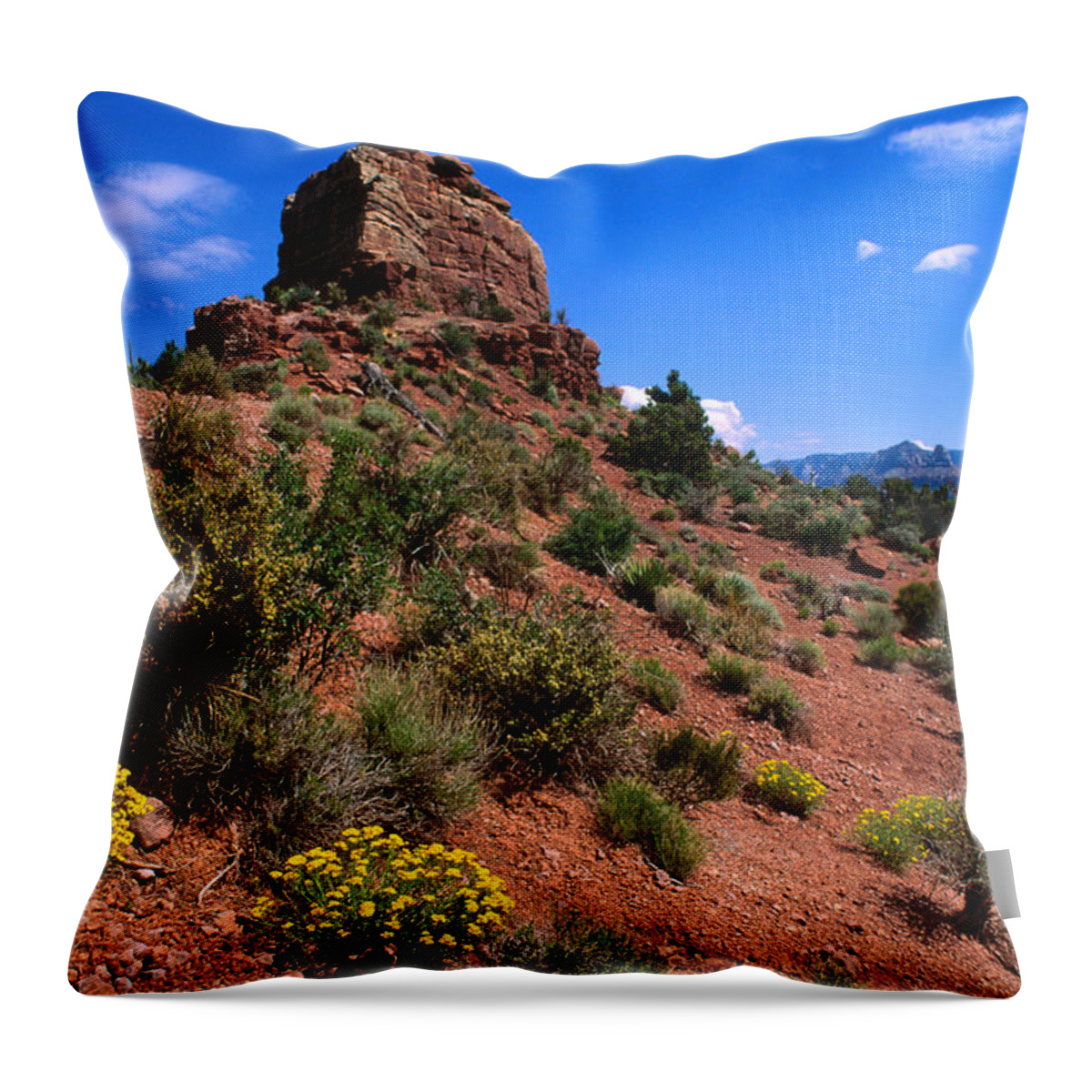 Arizona Throw Pillow featuring the photograph Desert Flowers Grace The Slopes Around by John Elk