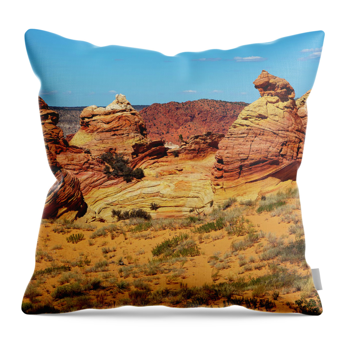 Scenics Throw Pillow featuring the photograph Desert Landscape by Lucynakoch