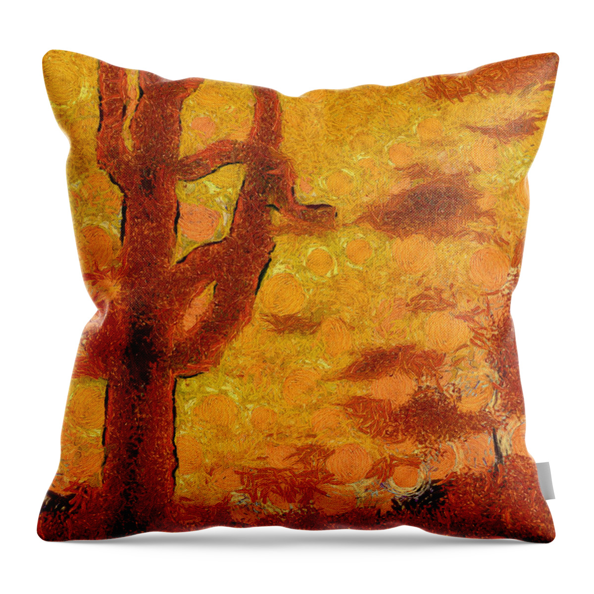 Cactus Throw Pillow featuring the photograph Desert Sunset Photo Art 04 by Thomas Woolworth