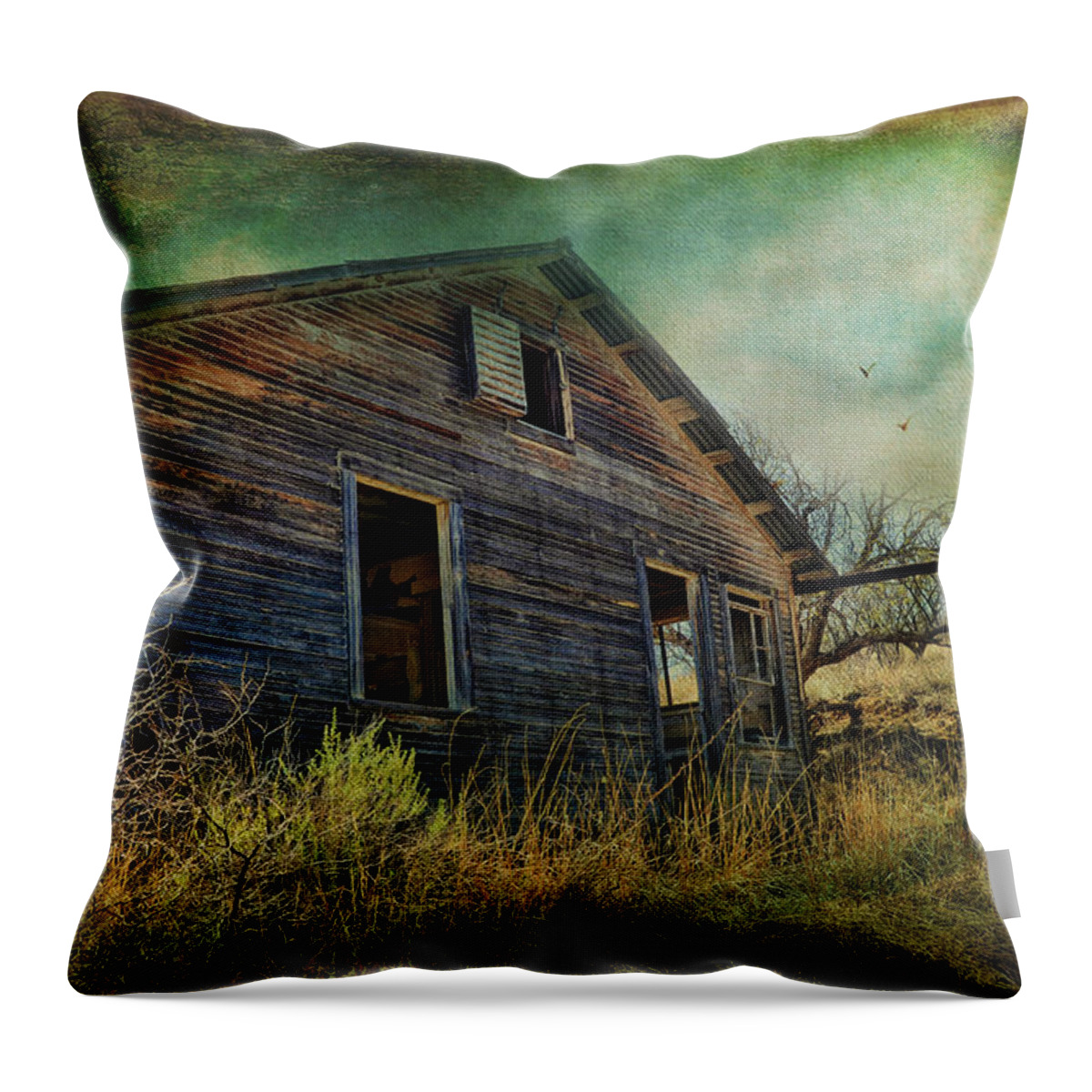 Deserted Throw Pillow featuring the photograph Deserted by Barbara Manis