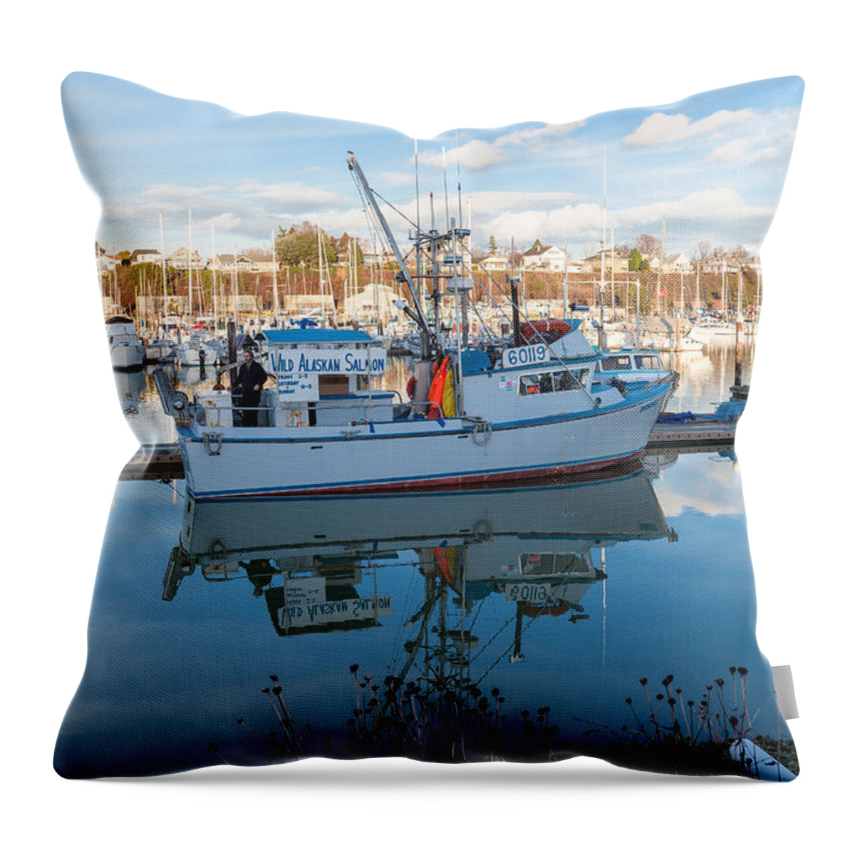 Bellingham Throw Pillow featuring the photograph Desire by Judy Wright Lott