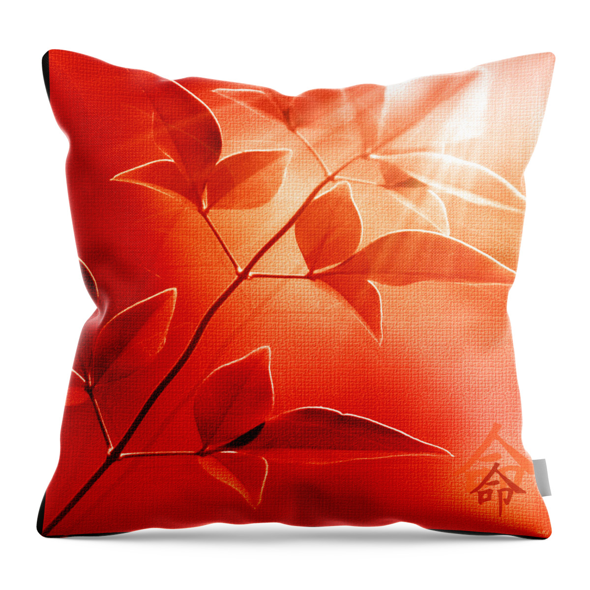Nature Throw Pillow featuring the photograph Destiny by Holly Kempe