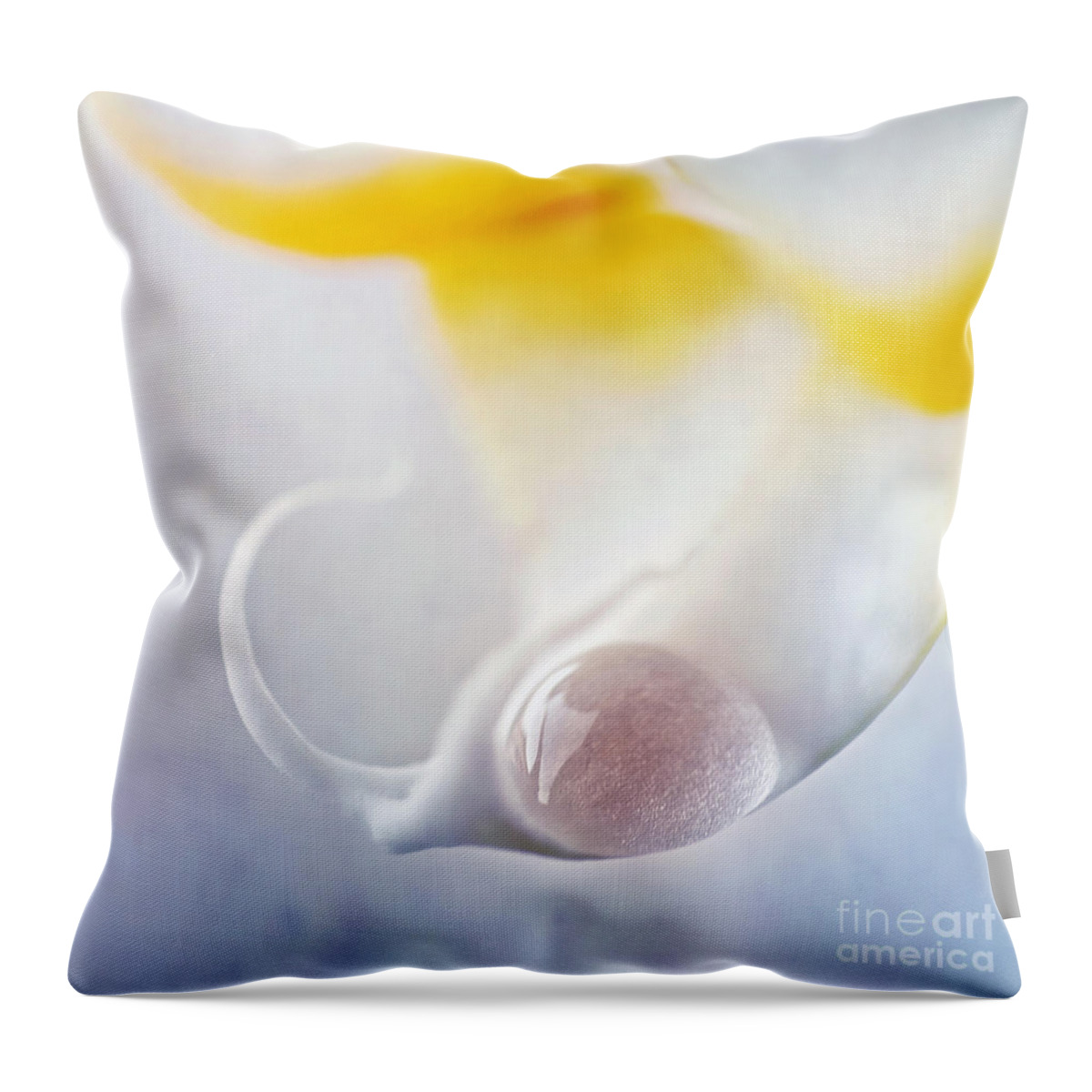 Drop Throw Pillow featuring the photograph Detail Of An Orchid With A Water Drop by Priska Wettstein