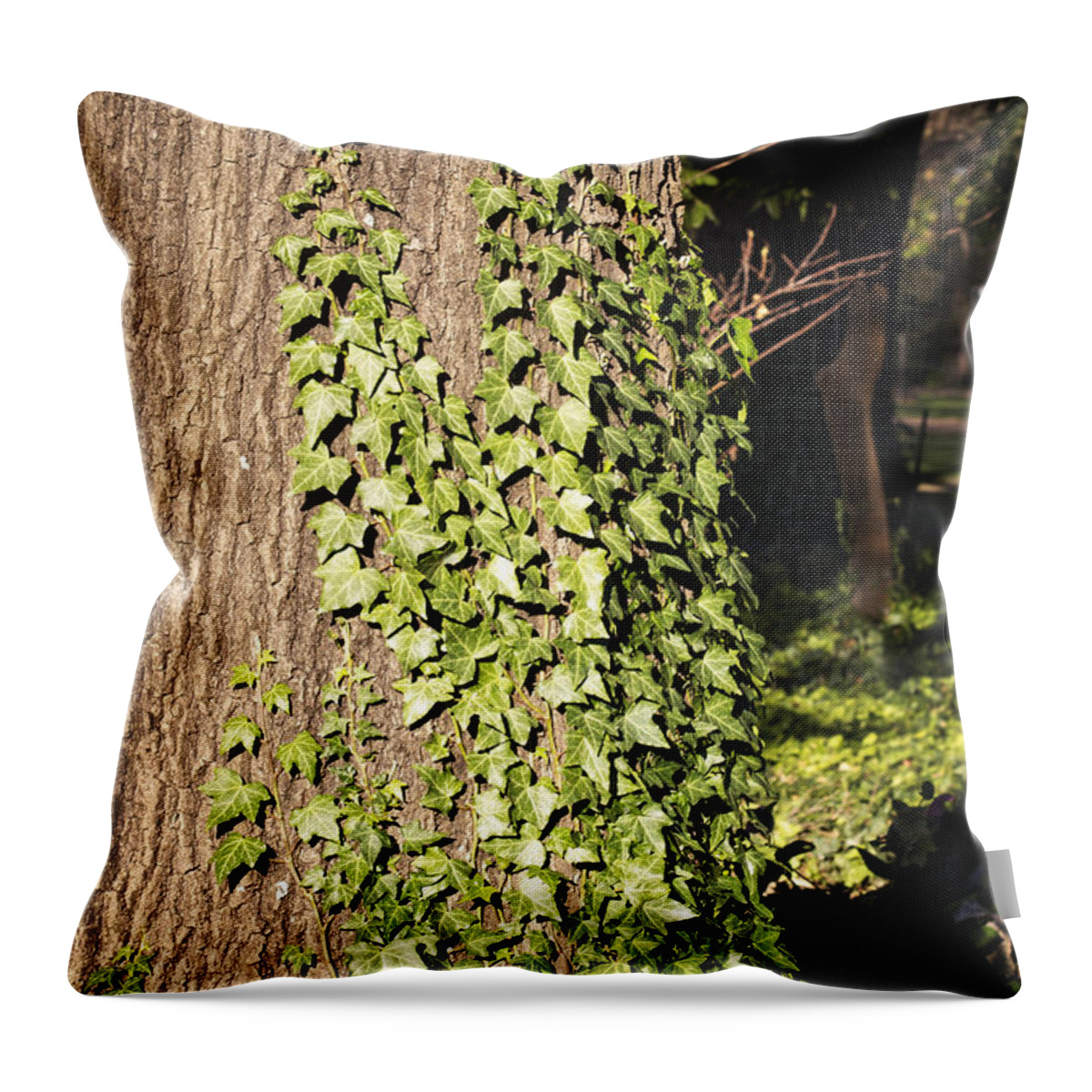 Tree Throw Pillow featuring the photograph Determination by Linda Lees