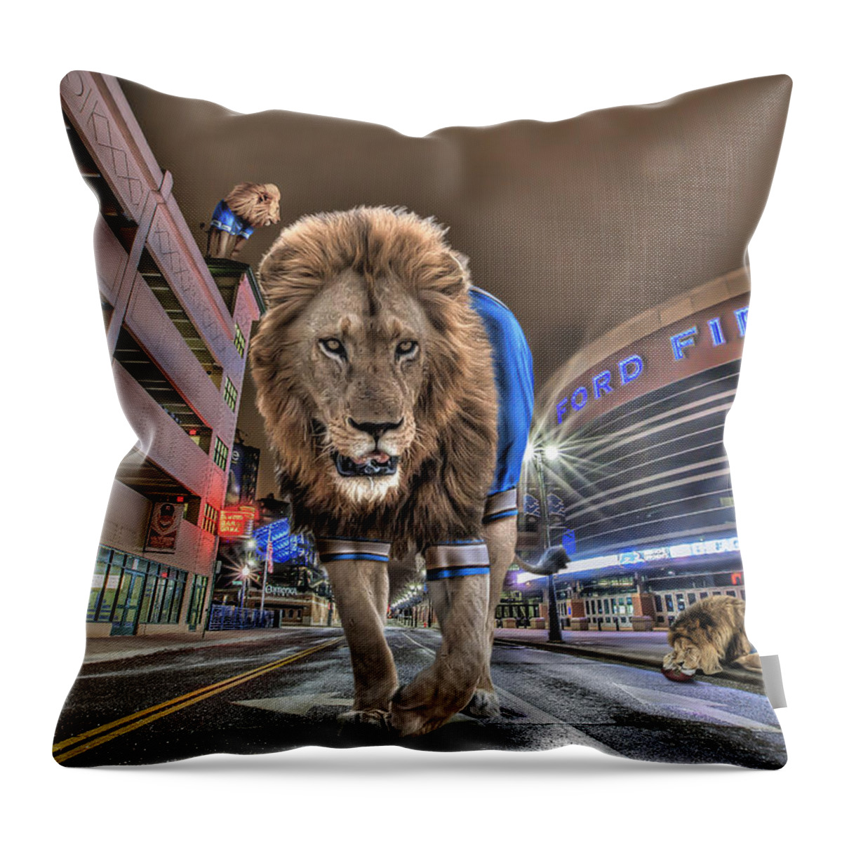 Comerica Park Throw Pillow featuring the photograph Detroit Lions at Ford Field by Nicholas Grunas