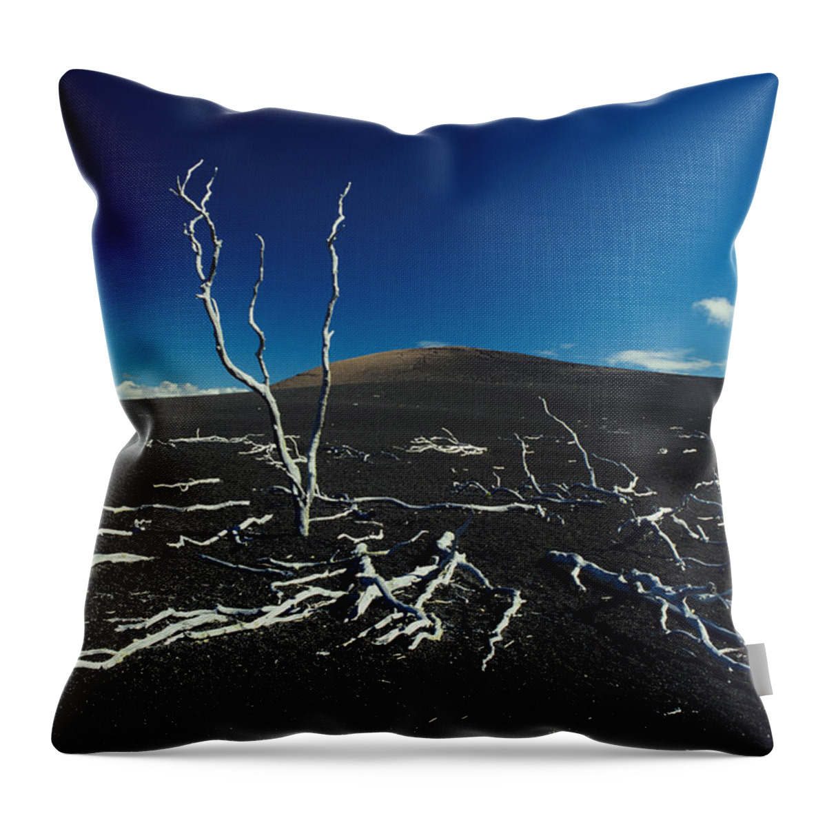 01-csm0018 Throw Pillow featuring the photograph Devastation Trail by Ali ONeal - Printscapes
