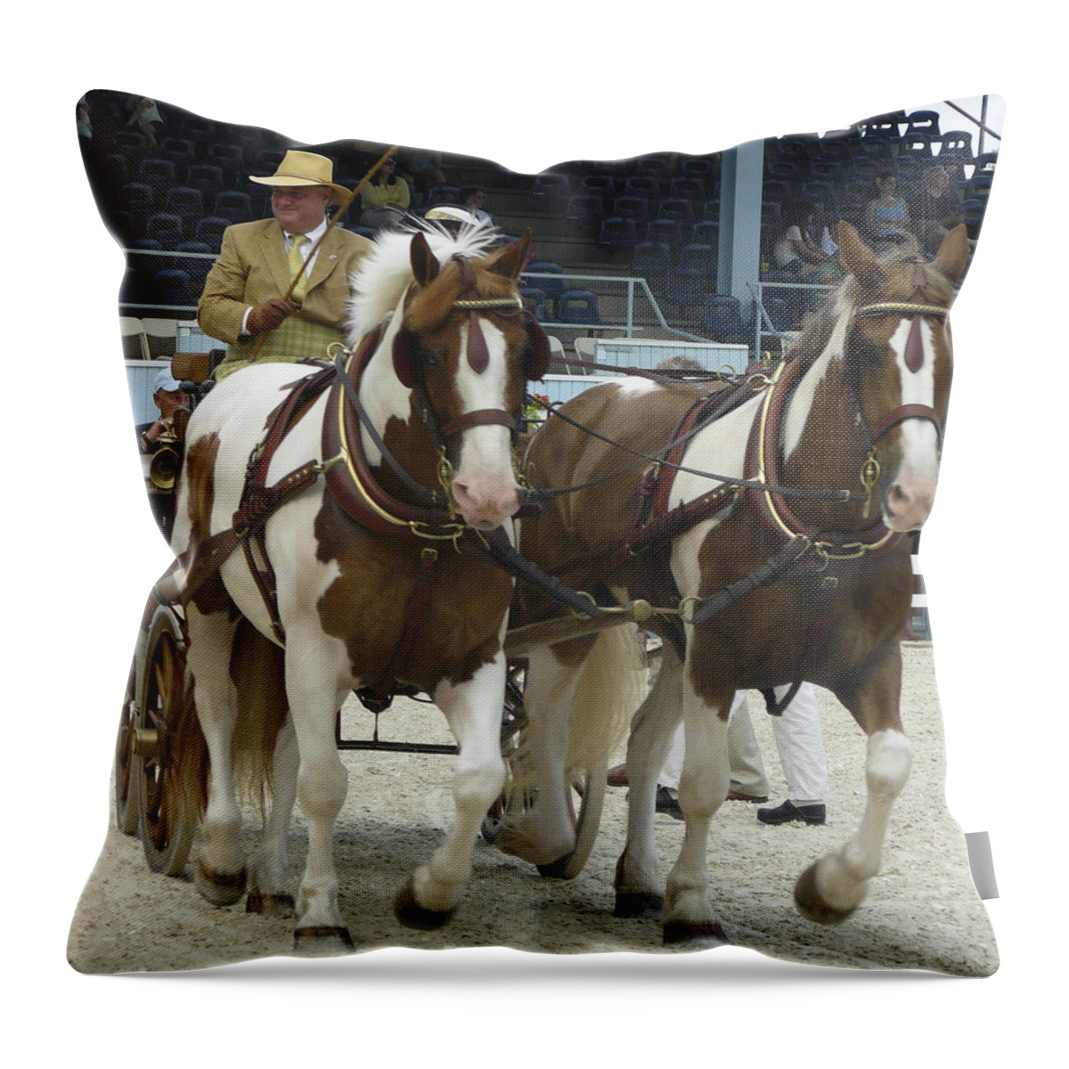 Devon Horse Show Throw Pillow featuring the photograph Devon a by Mary Ann Leitch