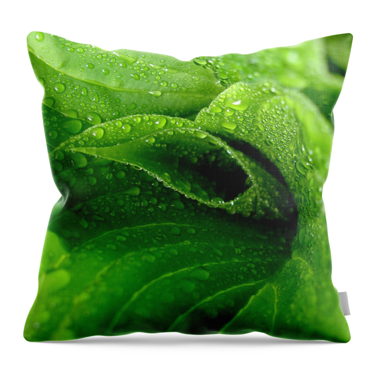 Dew Drops Throw Pillow featuring the photograph Dew Drops by Lisa Phillips