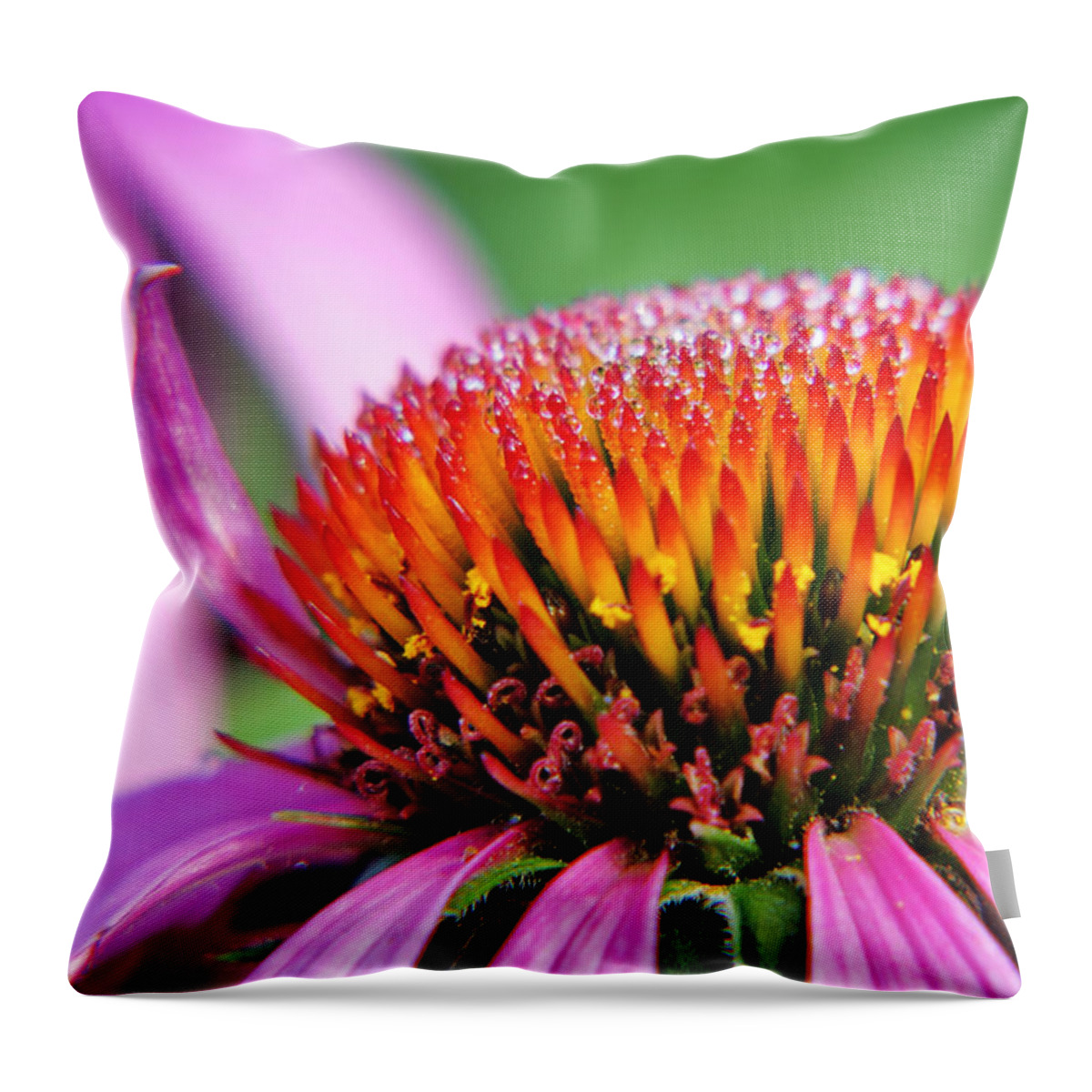Purple Cone Flower Throw Pillow featuring the photograph Dew-laden Purple Cone Flower by Jason Politte