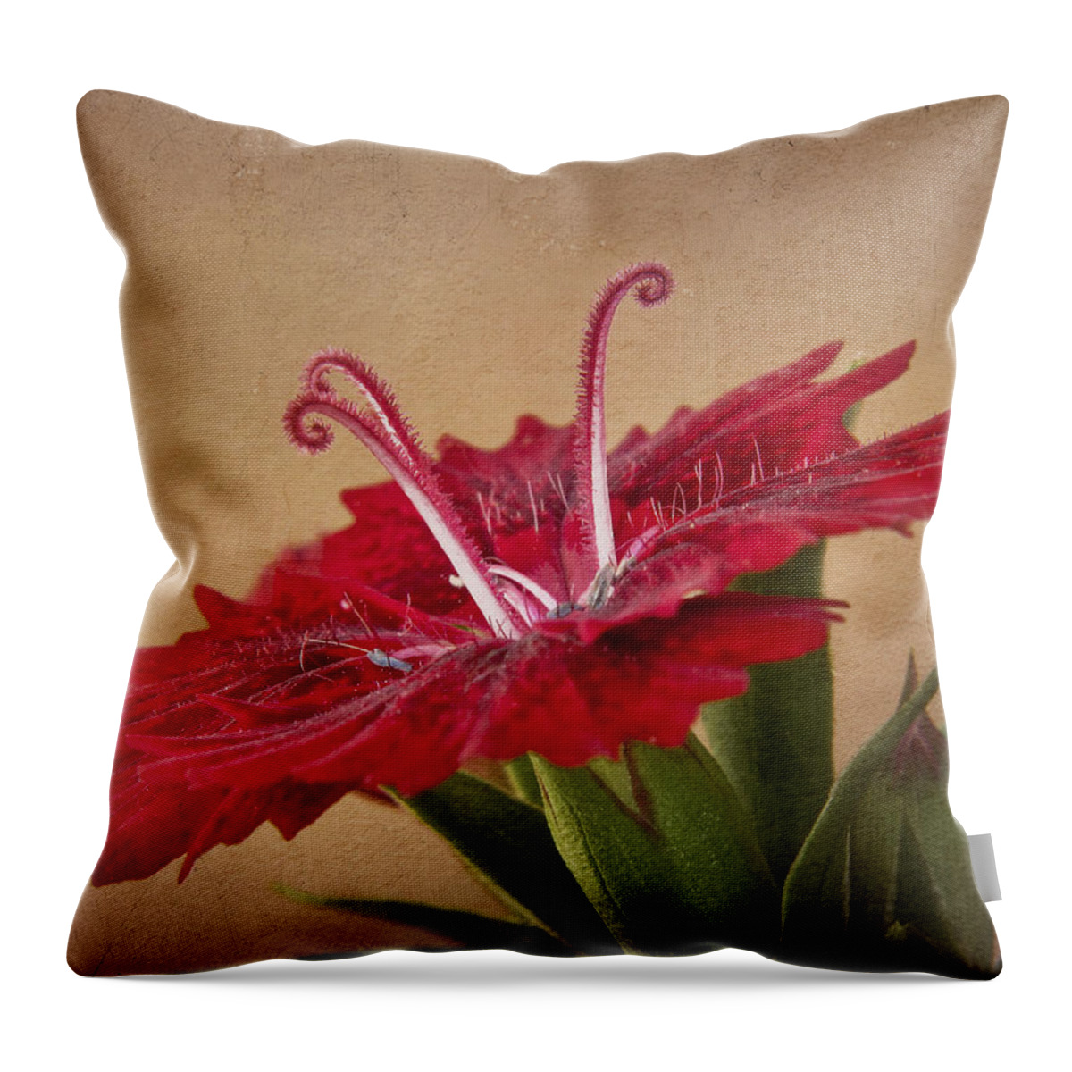 Flower Throw Pillow featuring the photograph Dianthus by David and Carol Kelly