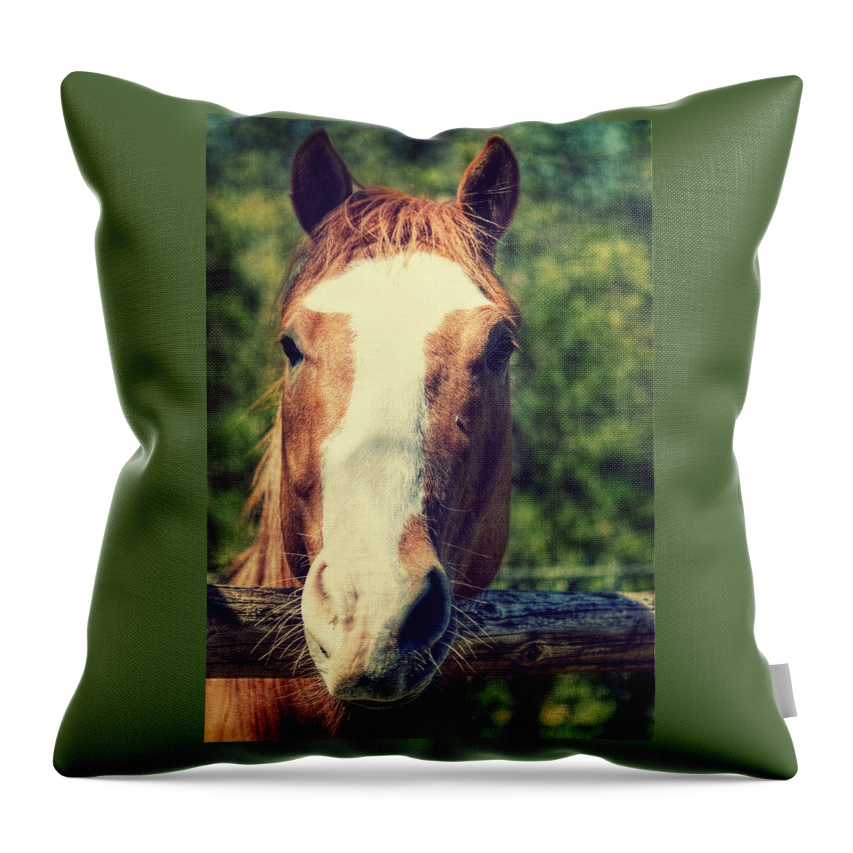 Horse Throw Pillow featuring the photograph Did you Bring an Apple by Melanie Lankford Photography
