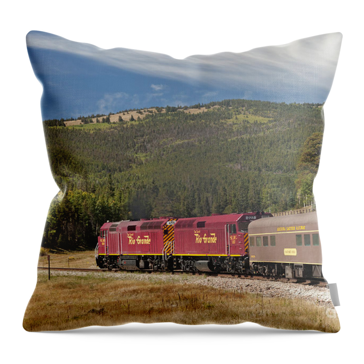 Alamosa Throw Pillow featuring the photograph Diesel Electric Engines 227 and 459 Rio Grande Scenic Rail Road by Fred Stearns