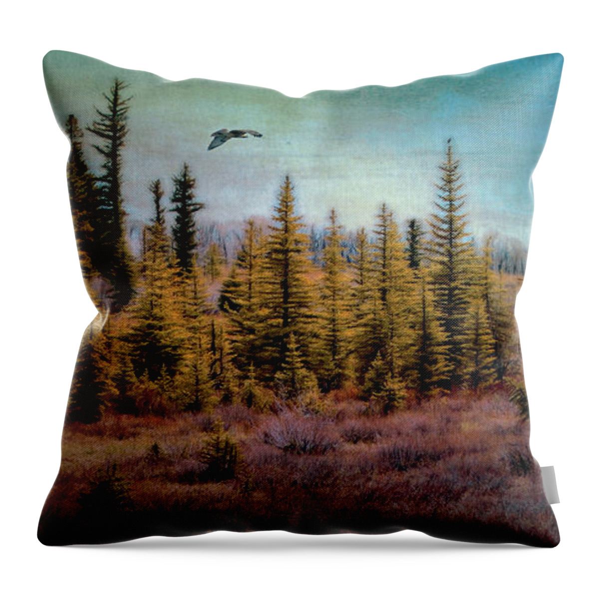 Pine Throw Pillow featuring the photograph Digitally Painted Textured Pine Hawk Flyover by Clare VanderVeen