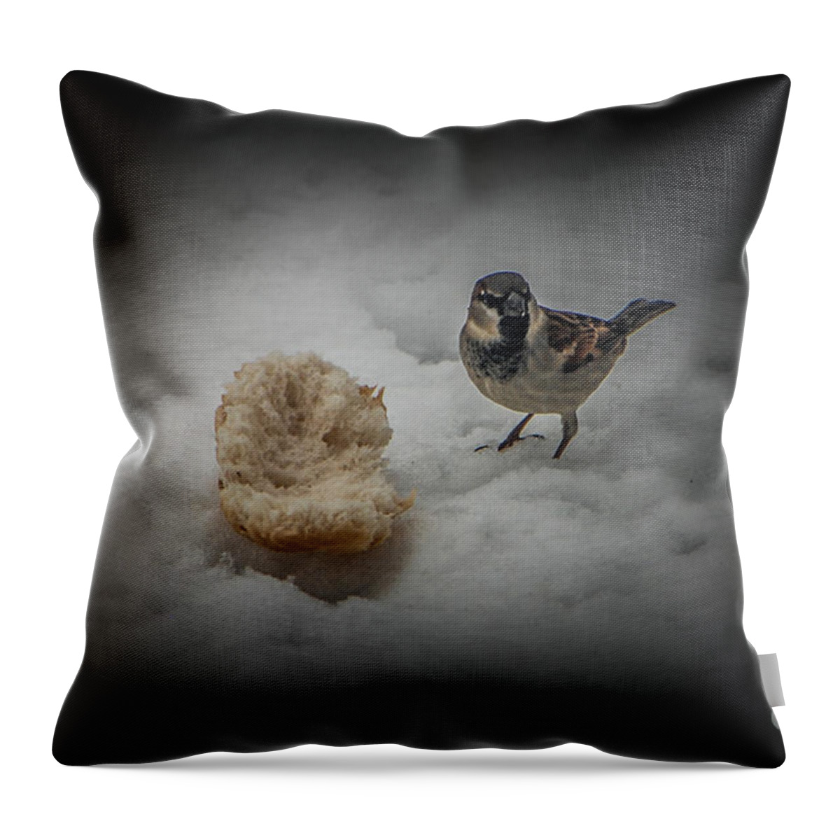 Black Capped Chickadee Throw Pillow featuring the photograph Dinner is as big as I am by Grace Grogan