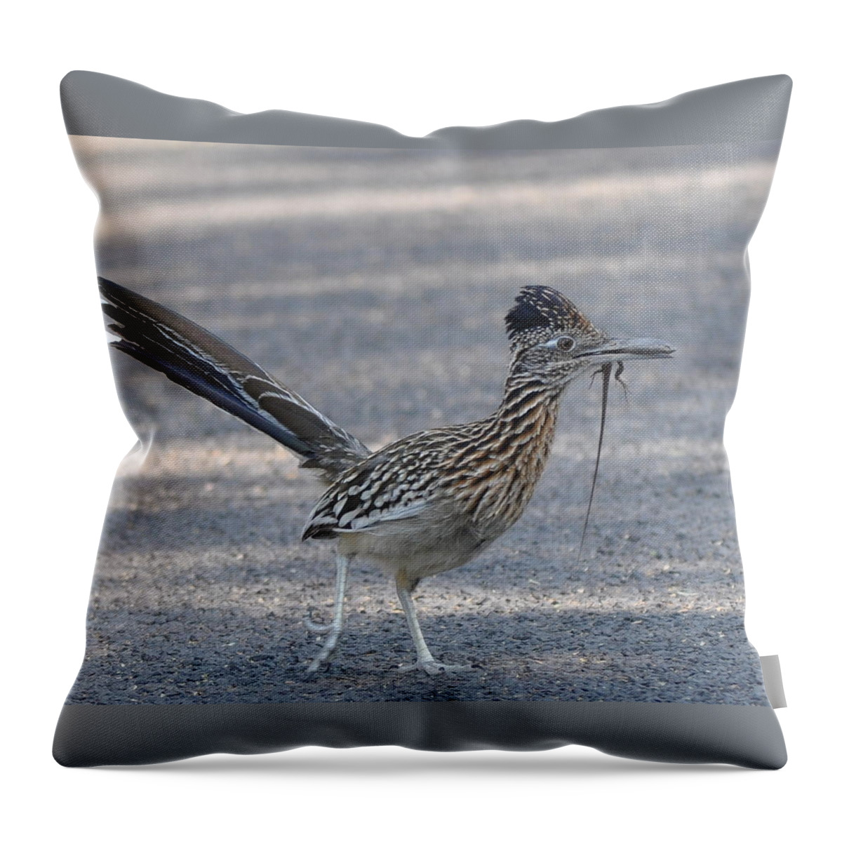 Roadrunner Throw Pillow featuring the photograph Dinner is Served by Frank Madia