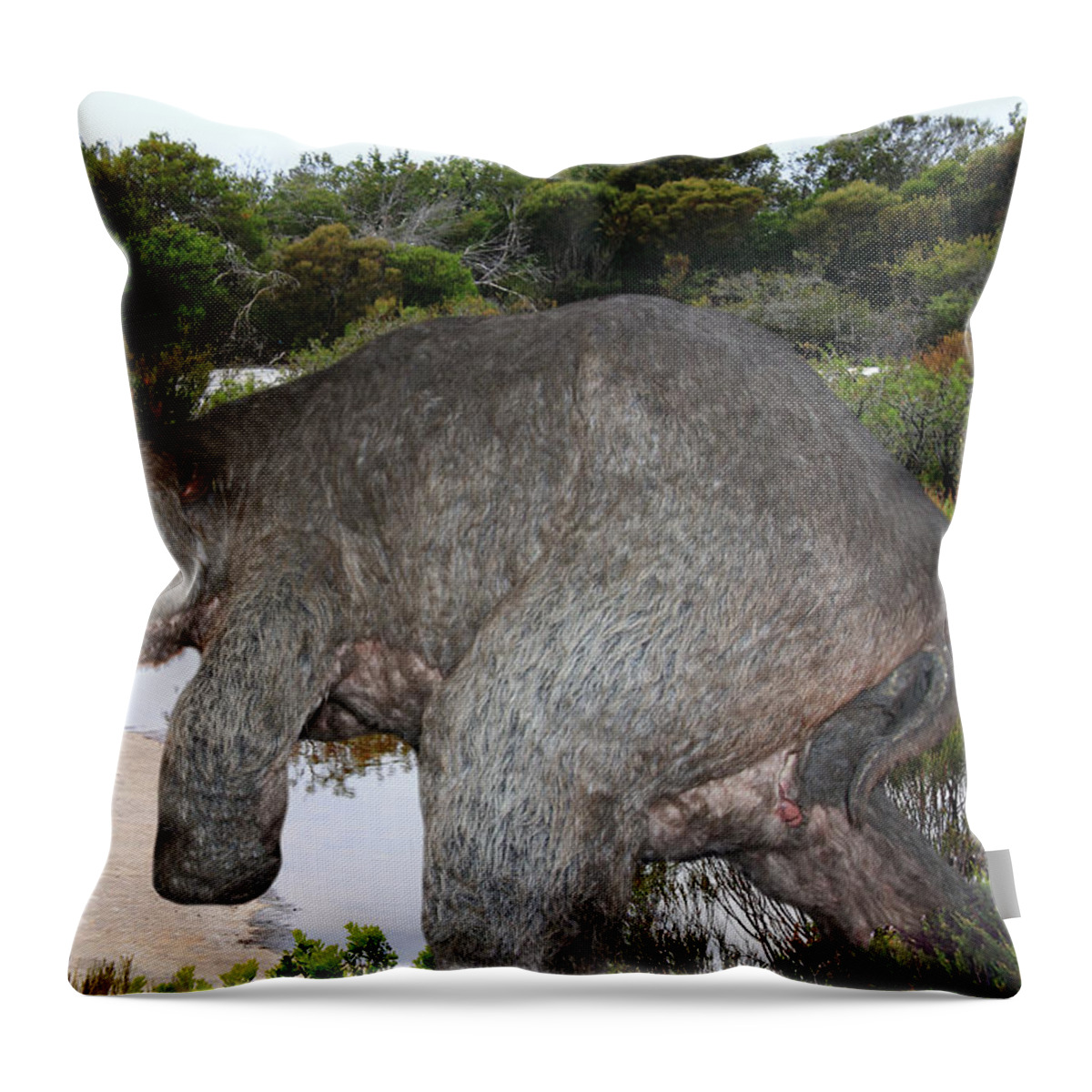 Diprotodon Throw Pillow featuring the photograph Diprotodon by Miroslava Jurcik