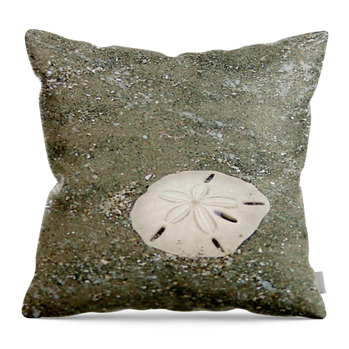 Sand Dollar Throw Pillow featuring the photograph Pick Me Up by Melinda Ledsome