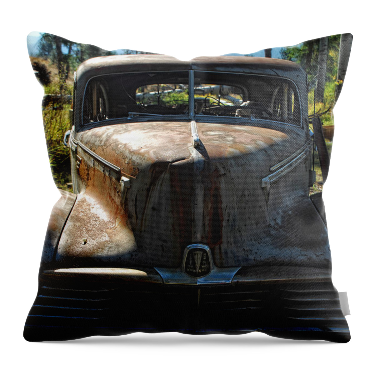 Car Throw Pillow featuring the photograph Discarded Love by Donna Blackhall