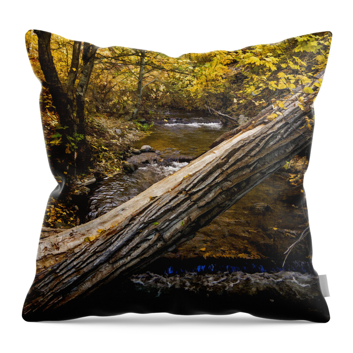 Discover Our Strengths Throw Pillow featuring the photograph Discover Our Strengths by Jordan Blackstone