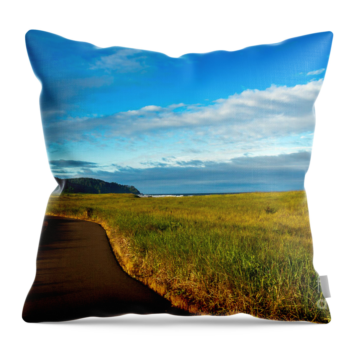 Pacific Ocean Throw Pillow featuring the photograph Discovery Trail by Robert Bales