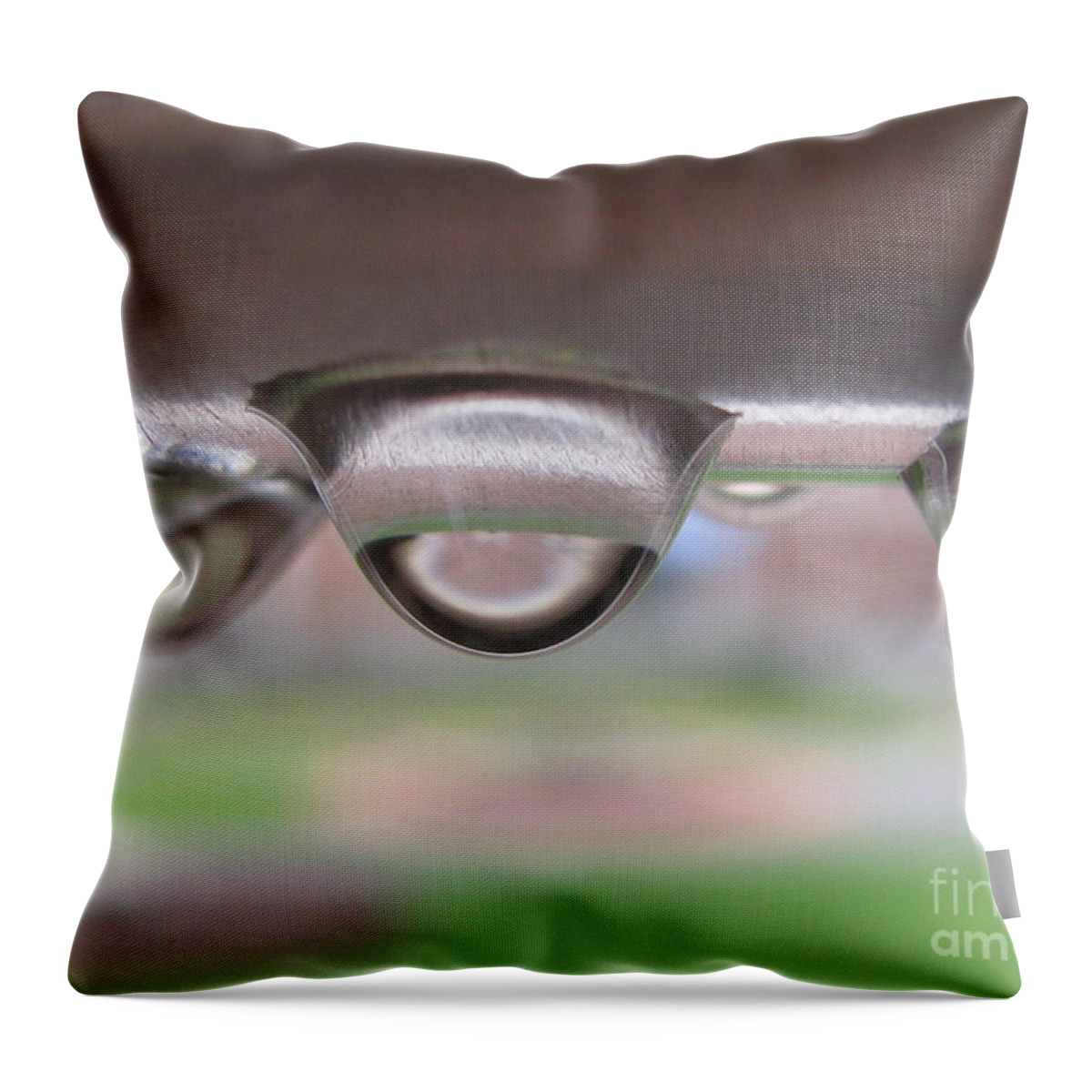 Water Throw Pillow featuring the photograph Disfigured Loyalty by Holy Hands