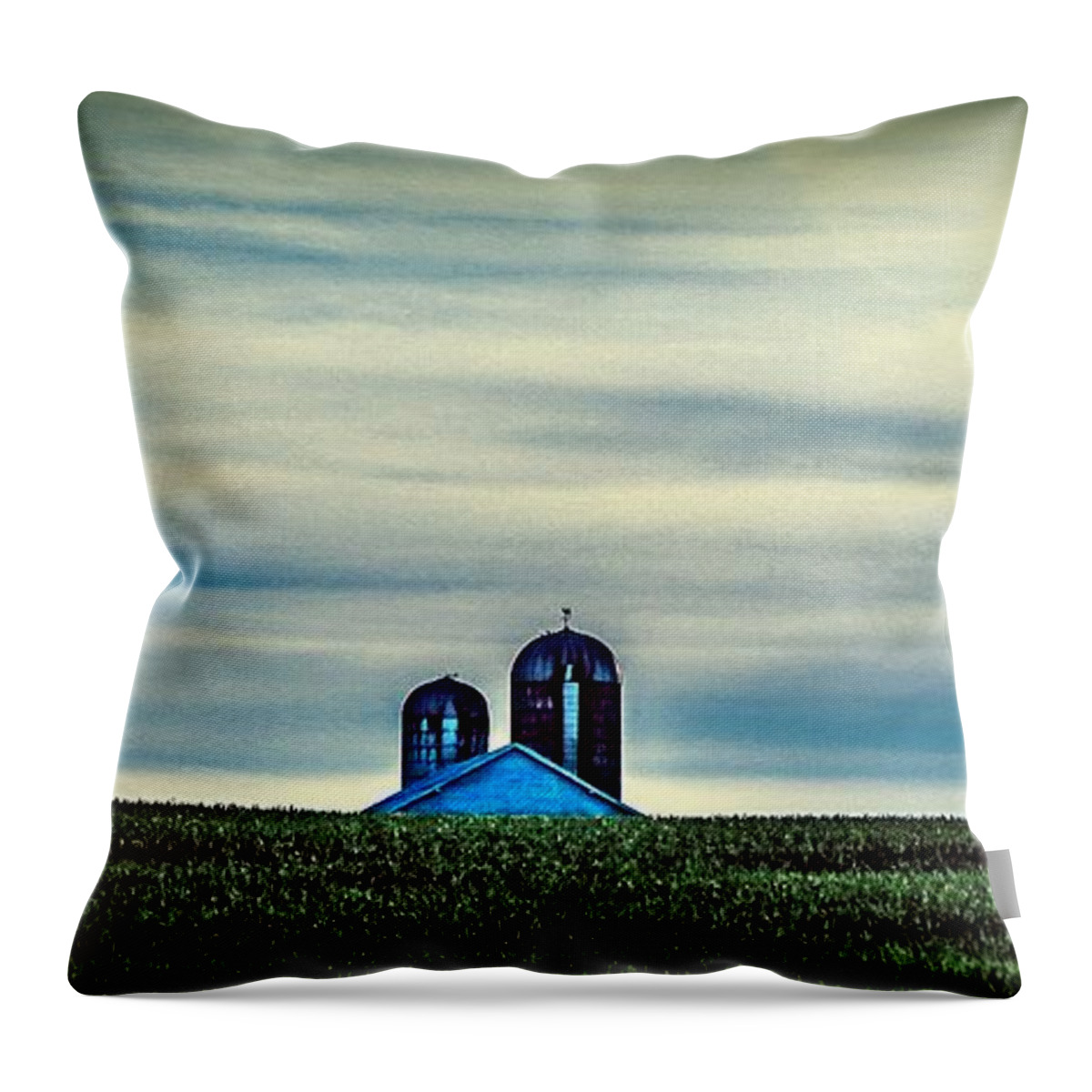 Landscape Photography Throw Pillow featuring the photograph Distant Farm by Debra Forand