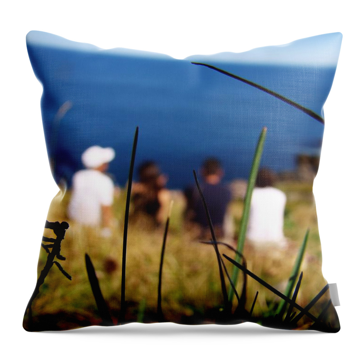 Friends Throw Pillow featuring the photograph Distant Memories by Zinvolle Art