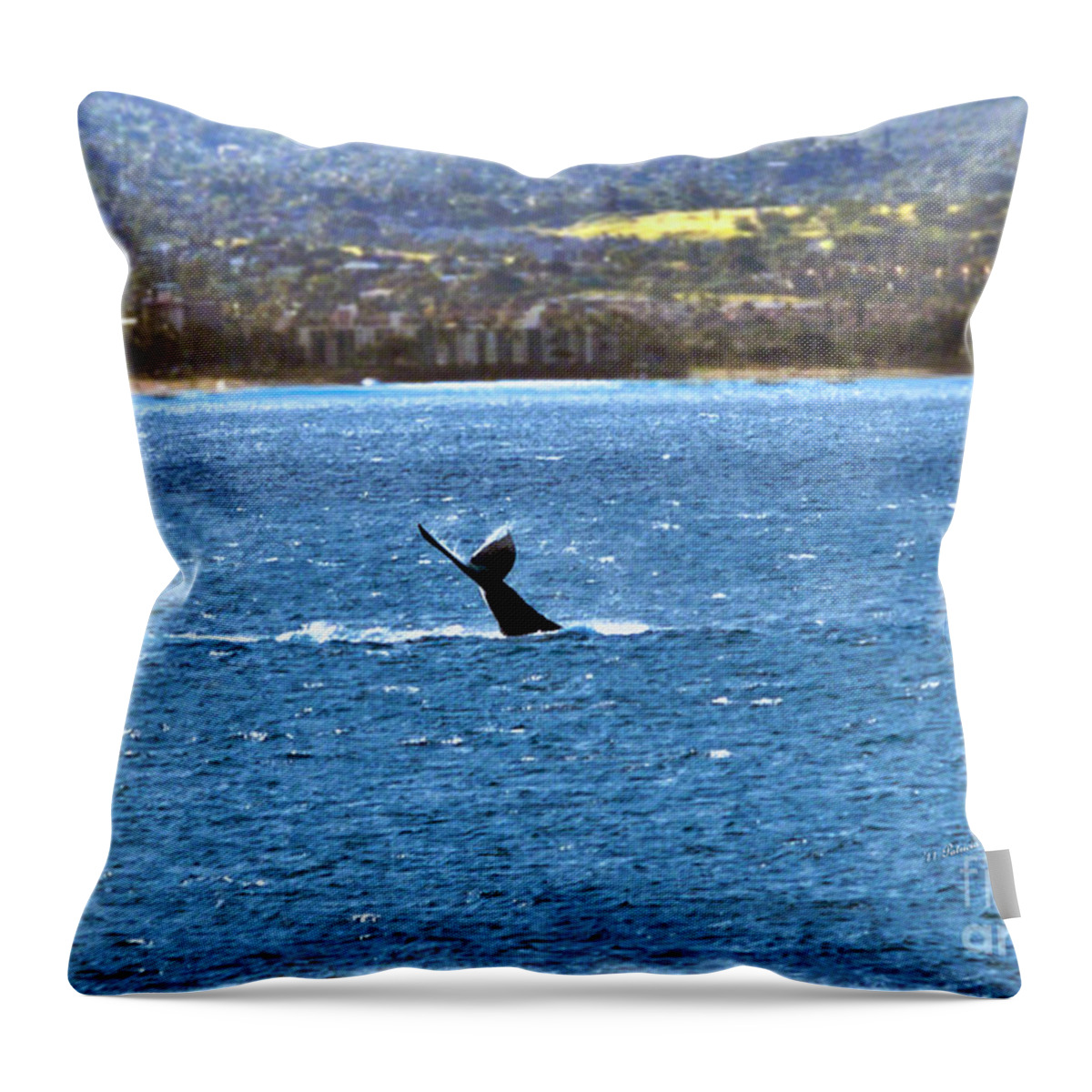 Fine Art Photography Throw Pillow featuring the photograph Diving II by Patricia Griffin Brett