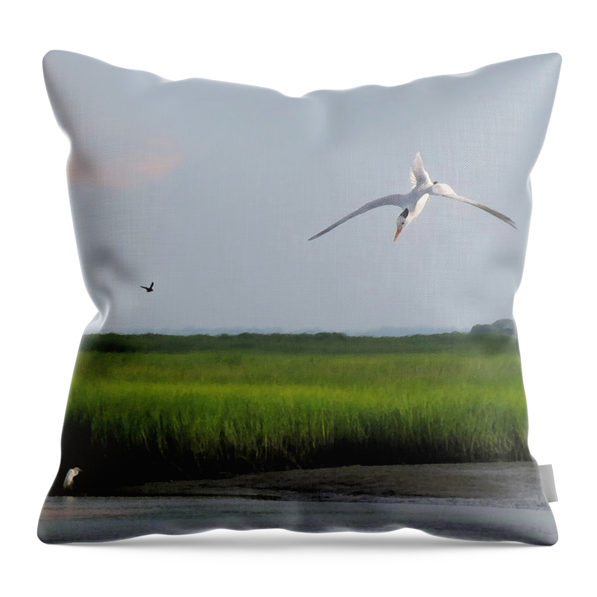 Wildlife Throw Pillow featuring the photograph Diving Tern by Deborah Smith
