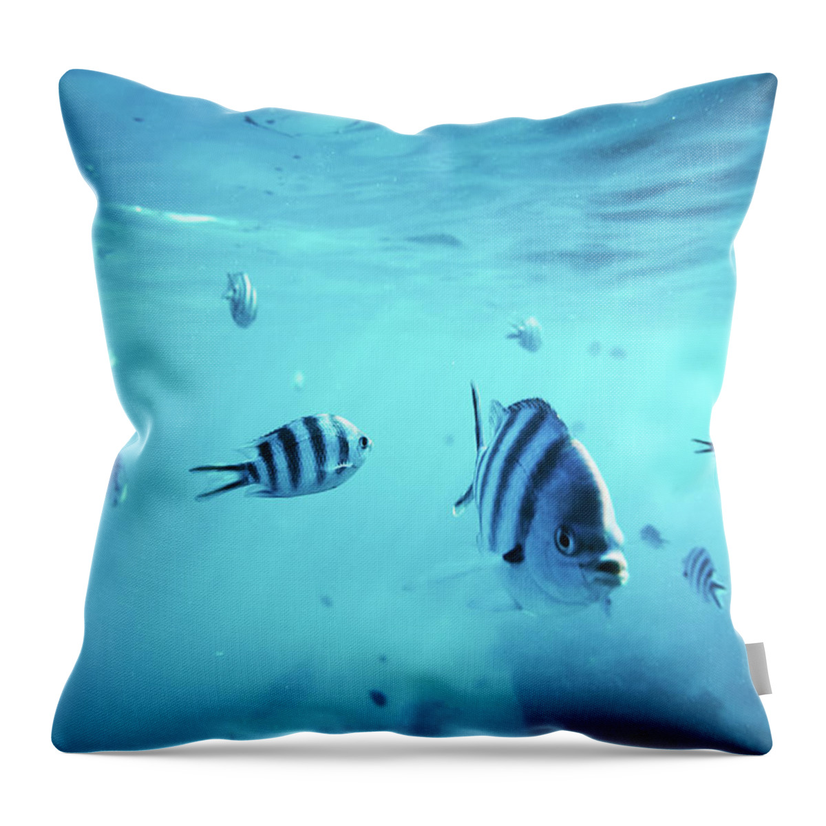 Underwater Throw Pillow featuring the photograph Diving With Fishes by Borchee