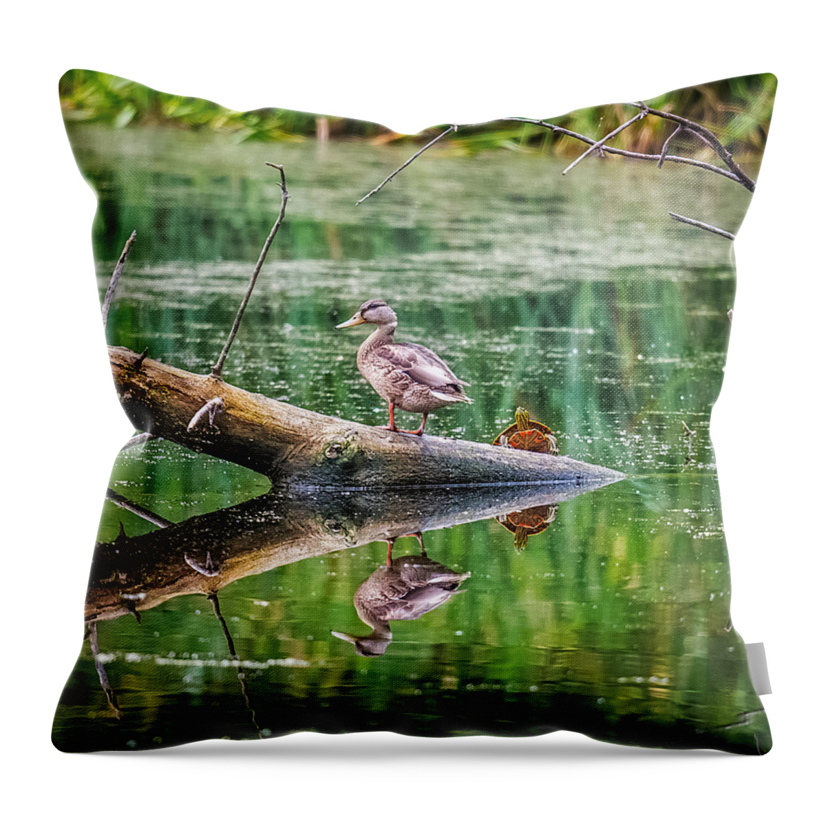 Reflection Throw Pillow featuring the photograph Does This Make My Tail Look Big by Paul Freidlund