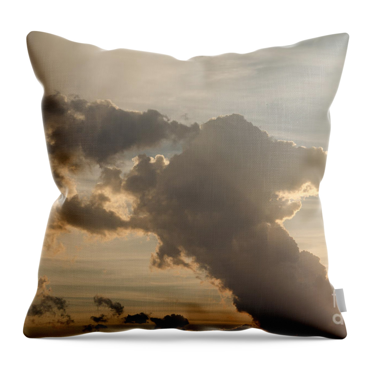 Ice Throw Pillow featuring the photograph Dog Cloud by Cassie Marie Photography