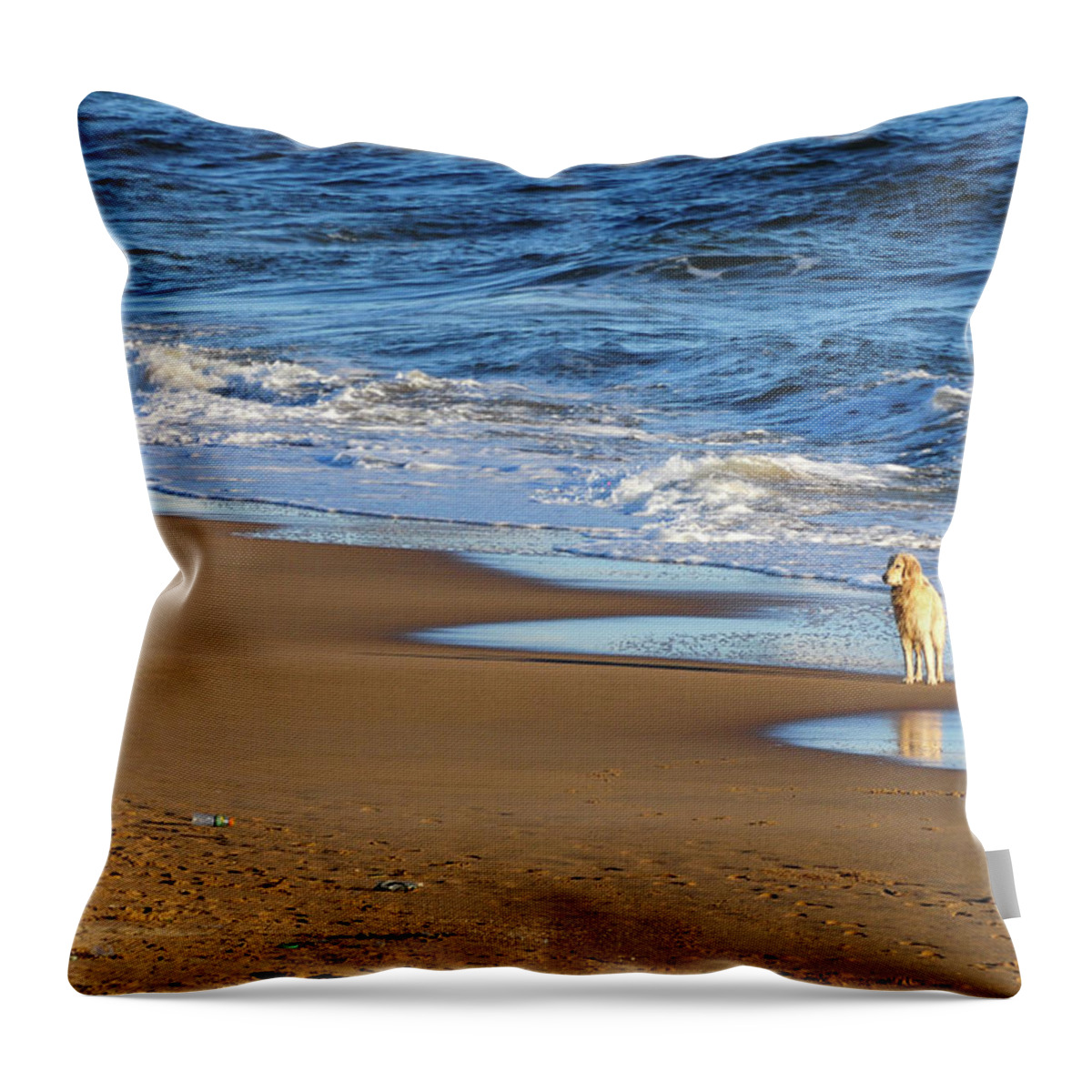Pets Throw Pillow featuring the photograph Dog Waiting For His Owner To Play by This Image Is Property Of Picardo
