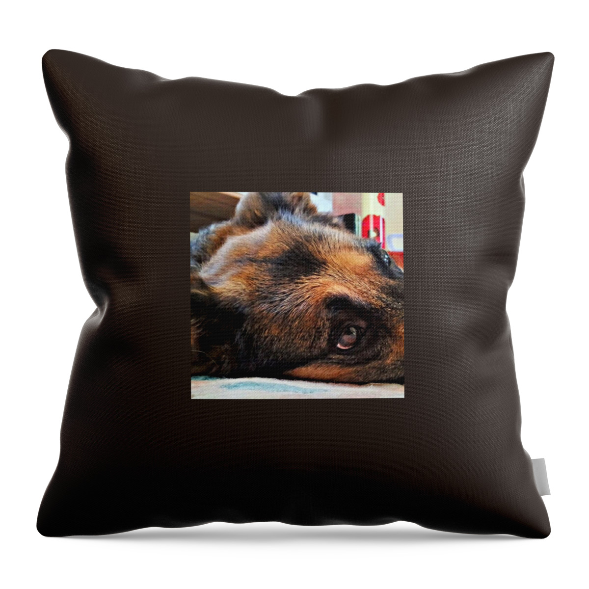 Pawsforthought Throw Pillow featuring the photograph #dogs #pawsforthought #ilovemydog by Abbie Shores