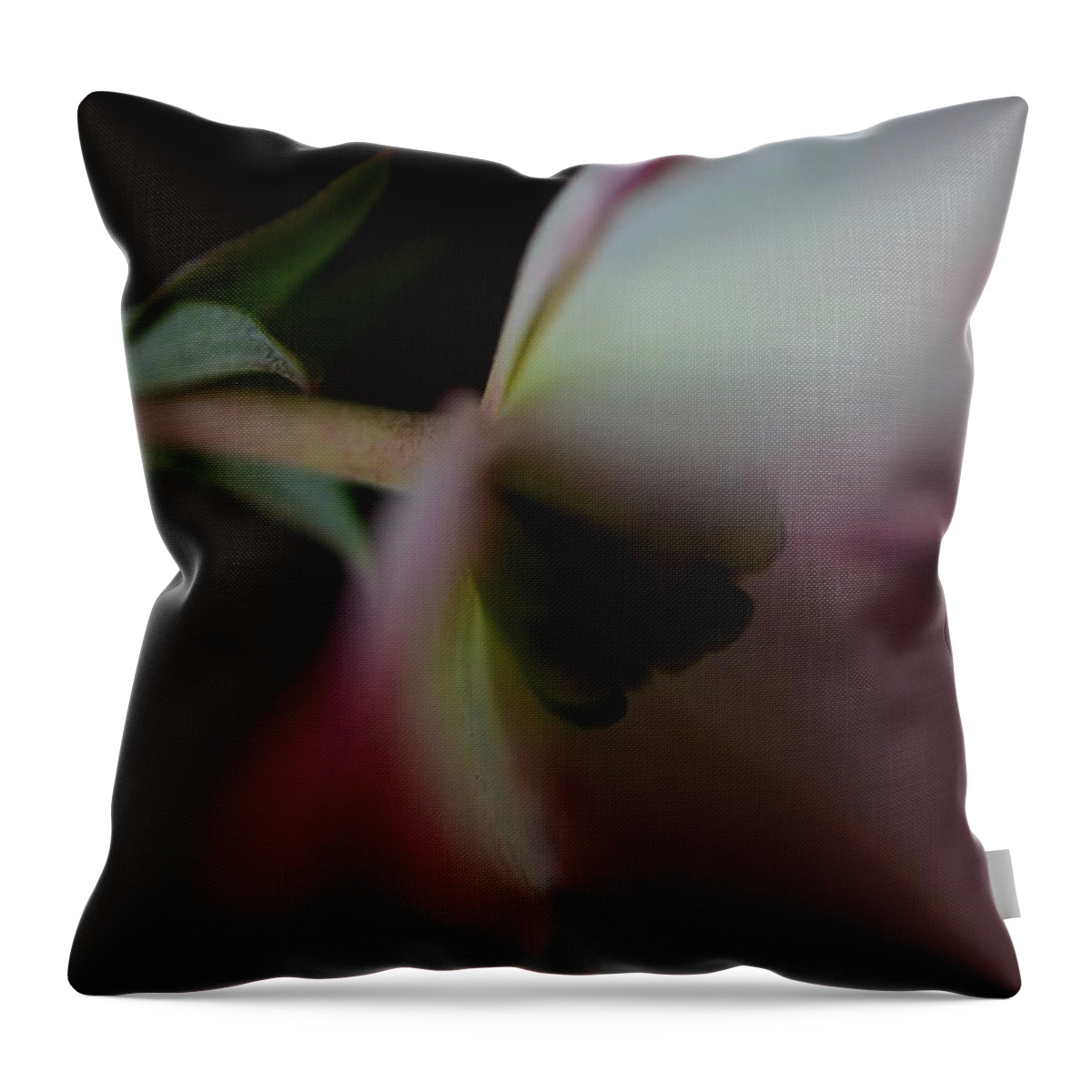Dogwood Throw Pillow featuring the photograph Dogwood Flower by Marianna Mills
