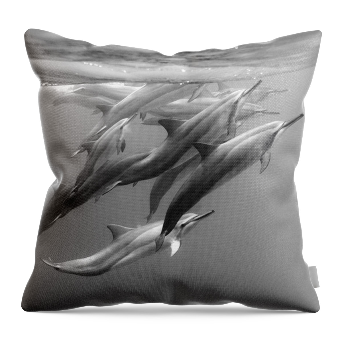 #faatoppicks Throw Pillow featuring the photograph Dolphin Pod by Sean Davey