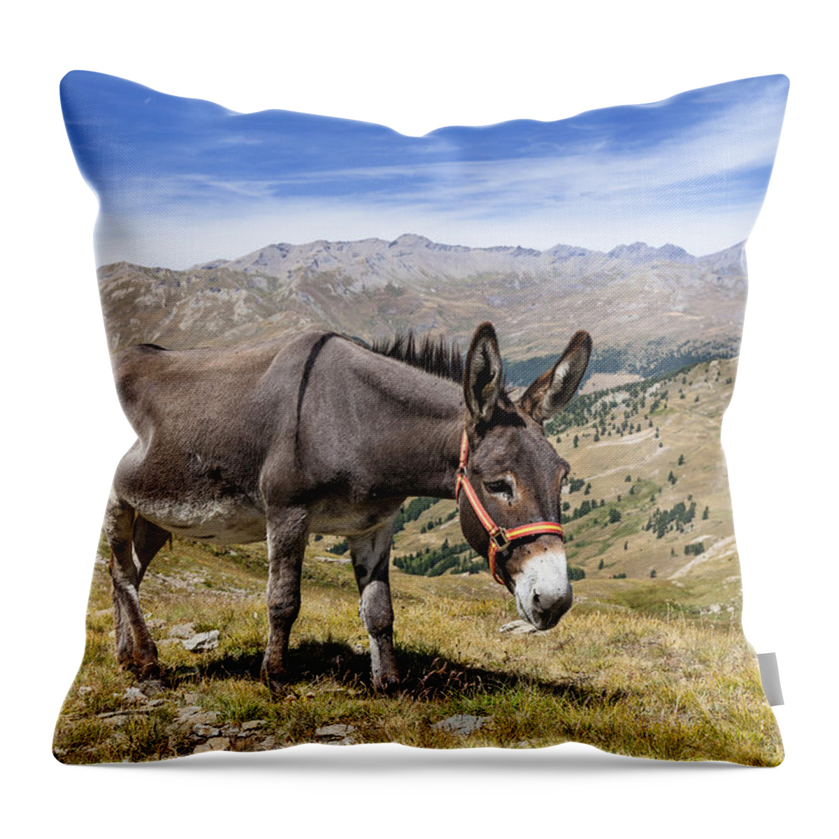 Feb0514 Throw Pillow featuring the photograph Donkey Alps France by Konrad Wothe