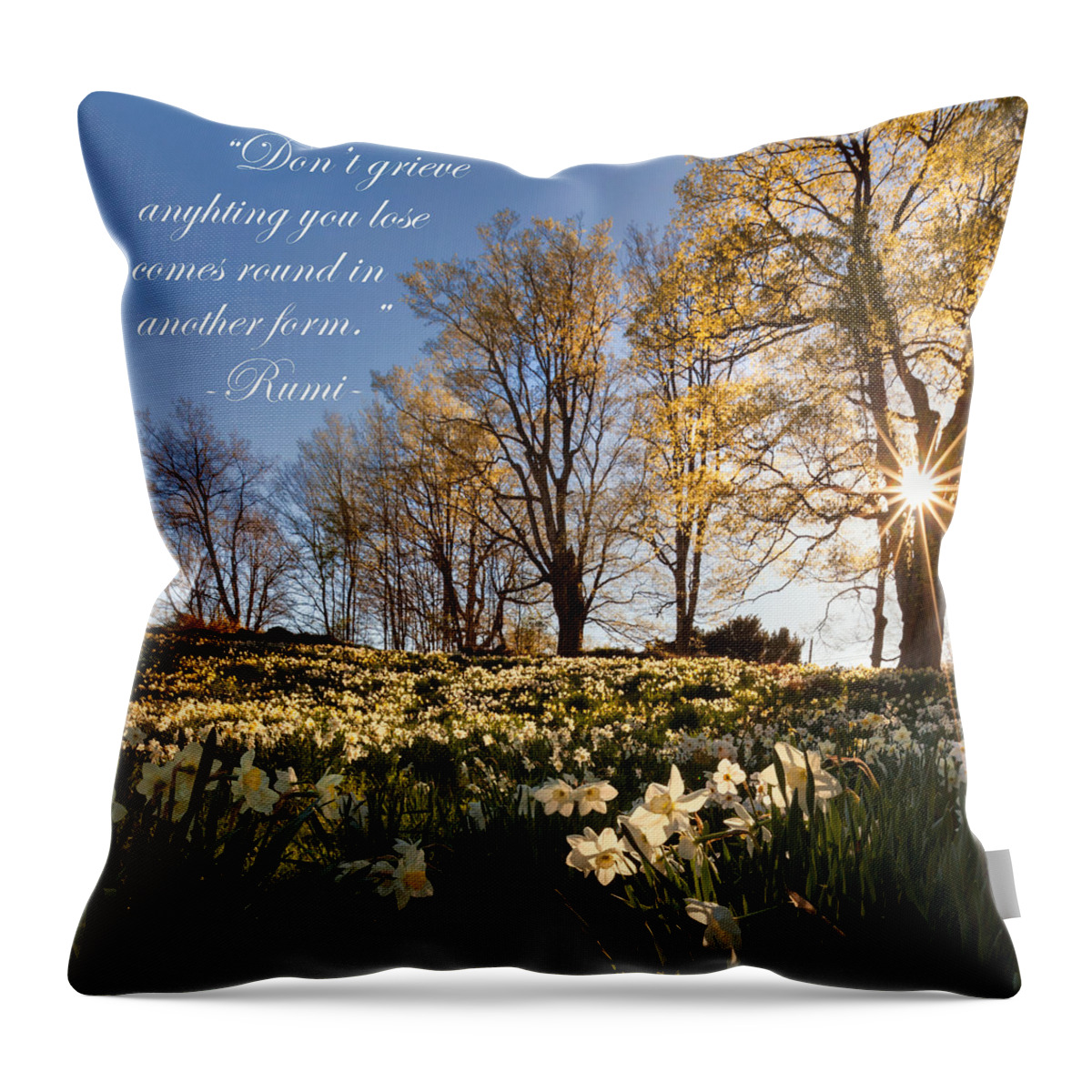 Rumi Throw Pillow featuring the photograph Don't Grieve by Bill Wakeley