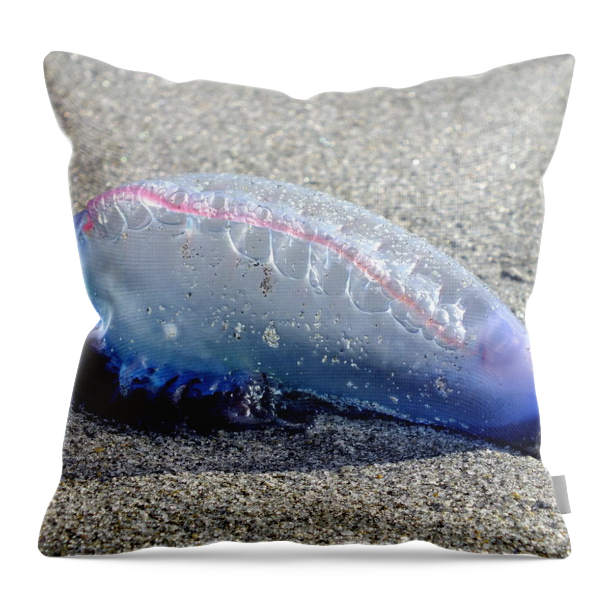 Nature Throw Pillow featuring the photograph Don't Touch by Peggy King