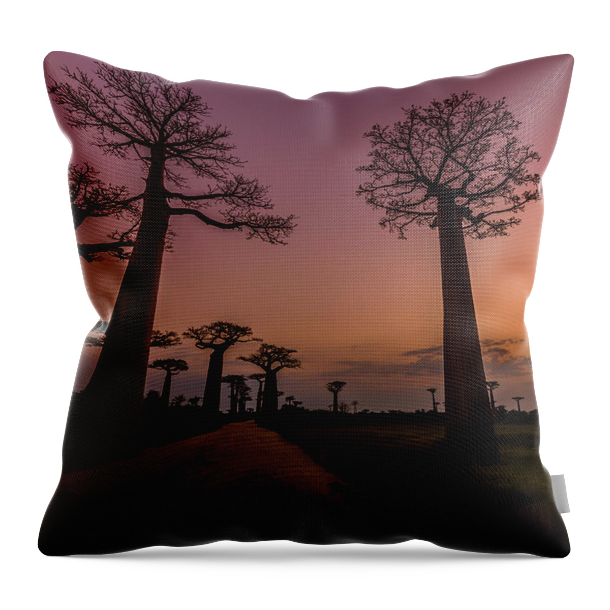Baobab Throw Pillow featuring the photograph Don't Wake Me by Linda Villers
