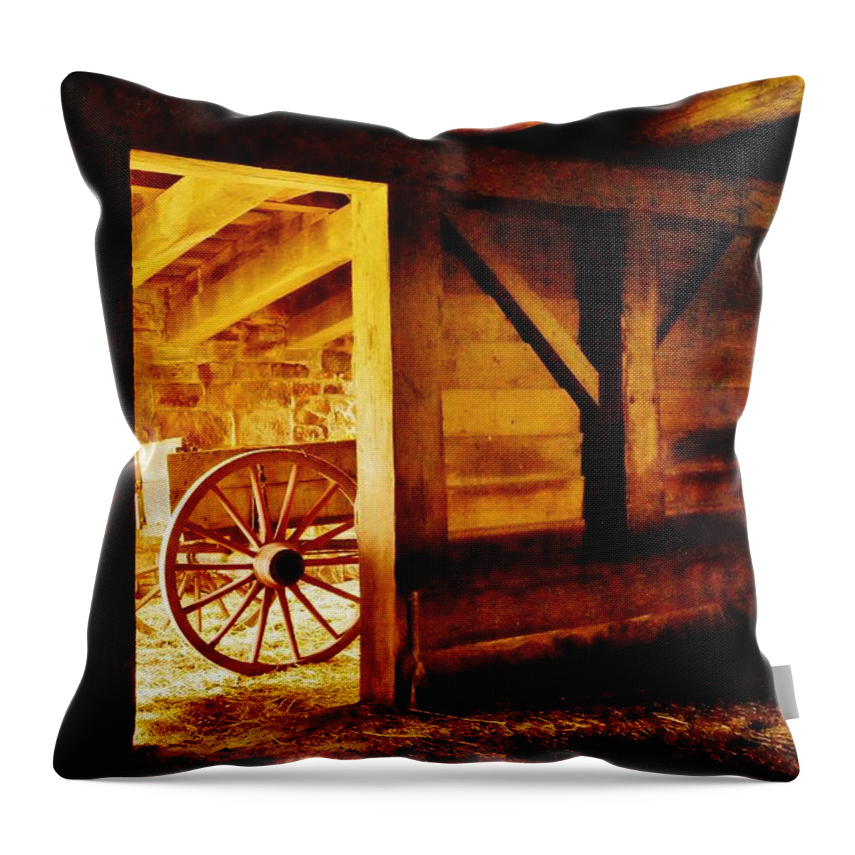 Firestone Throw Pillow featuring the photograph Doorway To The Past by Daniel Thompson