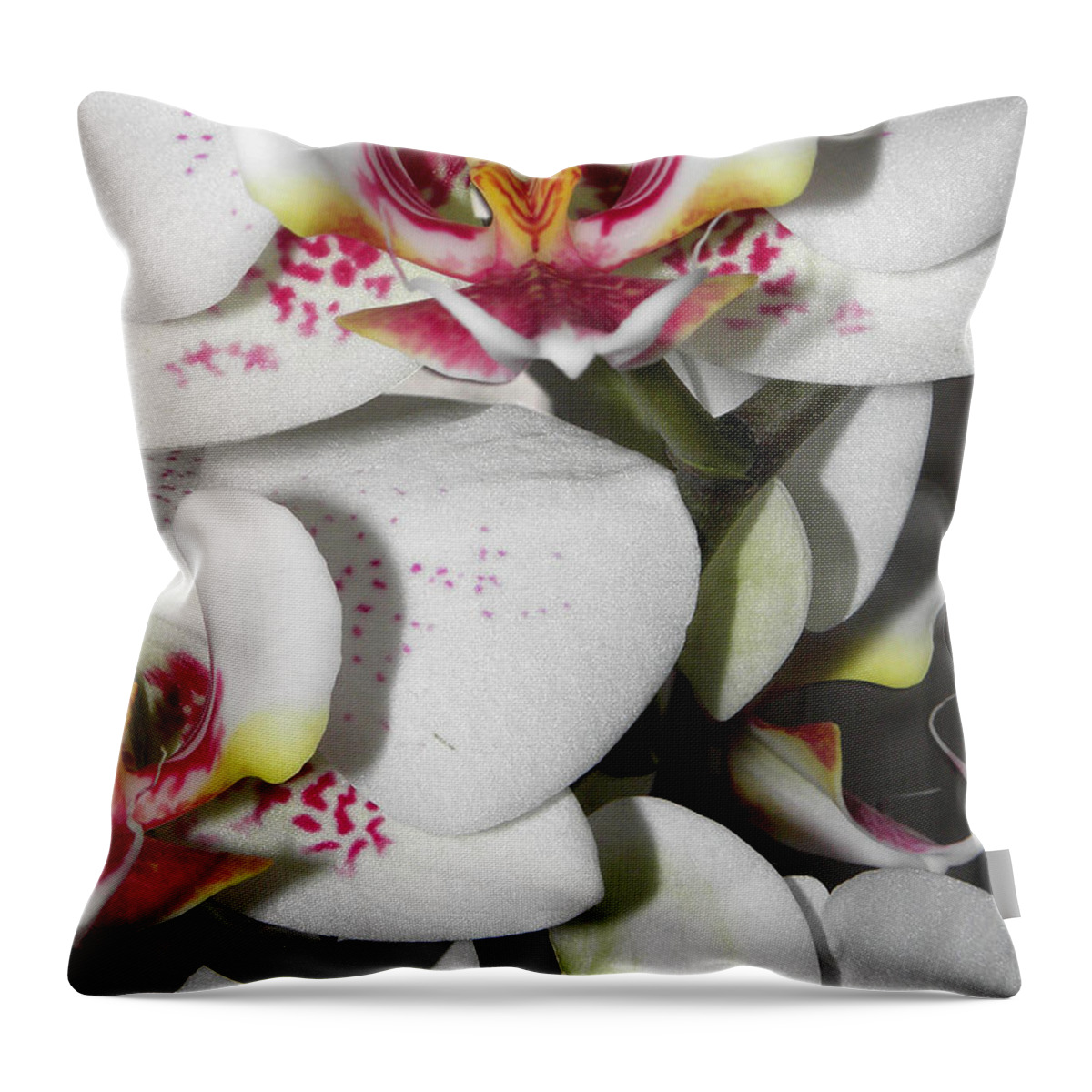 White Orchids Throw Pillow featuring the photograph Dots and Splashes of Pink on Orchid by Kim Galluzzo