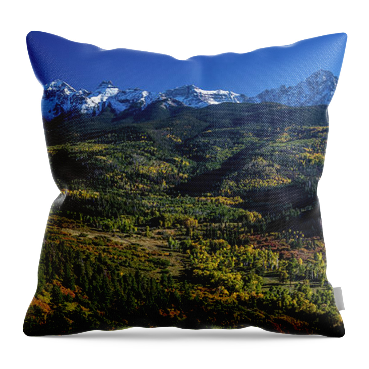 Photography Throw Pillow featuring the photograph Double Rl Ranch Near Ridgway, Colorado by Panoramic Images