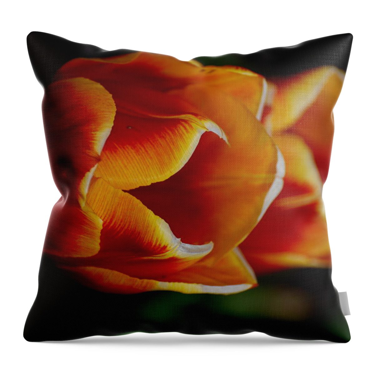 Tulip Throw Pillow featuring the photograph Double Vision by Kathy Paynter