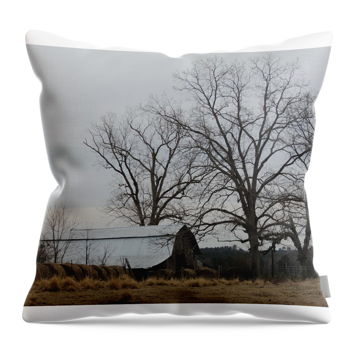 Farm Throw Pillow featuring the photograph Down on the Farm 2 by Marian Bell