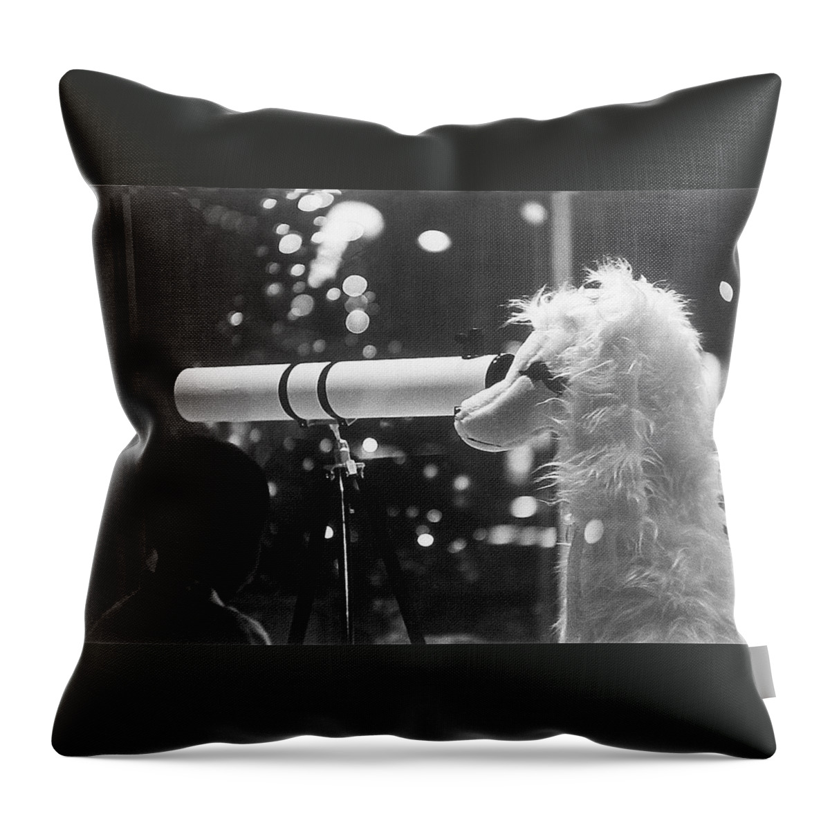 Downtown Tucson Arizona Store Window Christmas 1967 Throw Pillow featuring the photograph Downtown Tucson Arizona Store Window Christmas 1967 by David Lee Guss