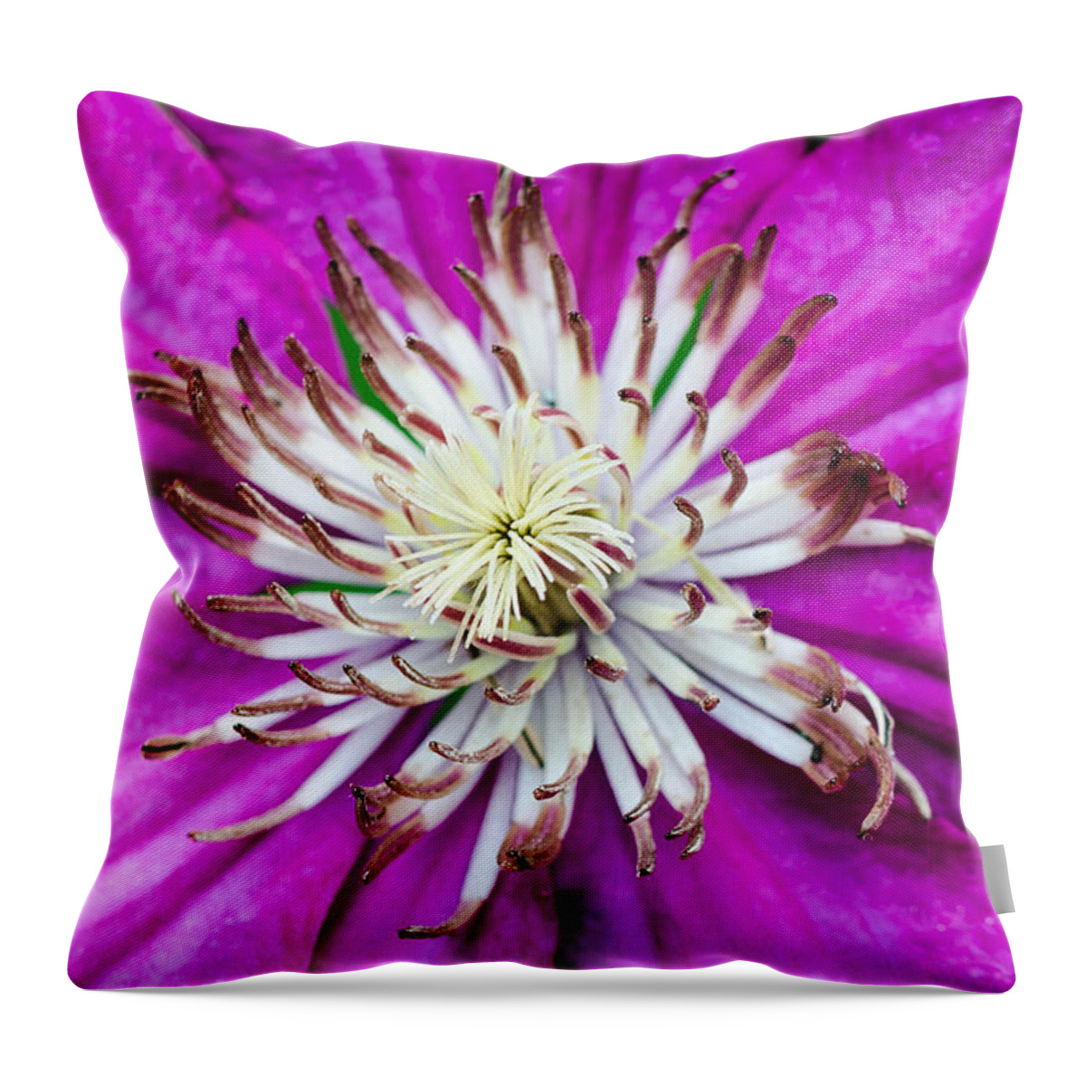 Clematis Throw Pillow featuring the photograph Dr. Seuss Flower No. 1569 by Georgette Grossman