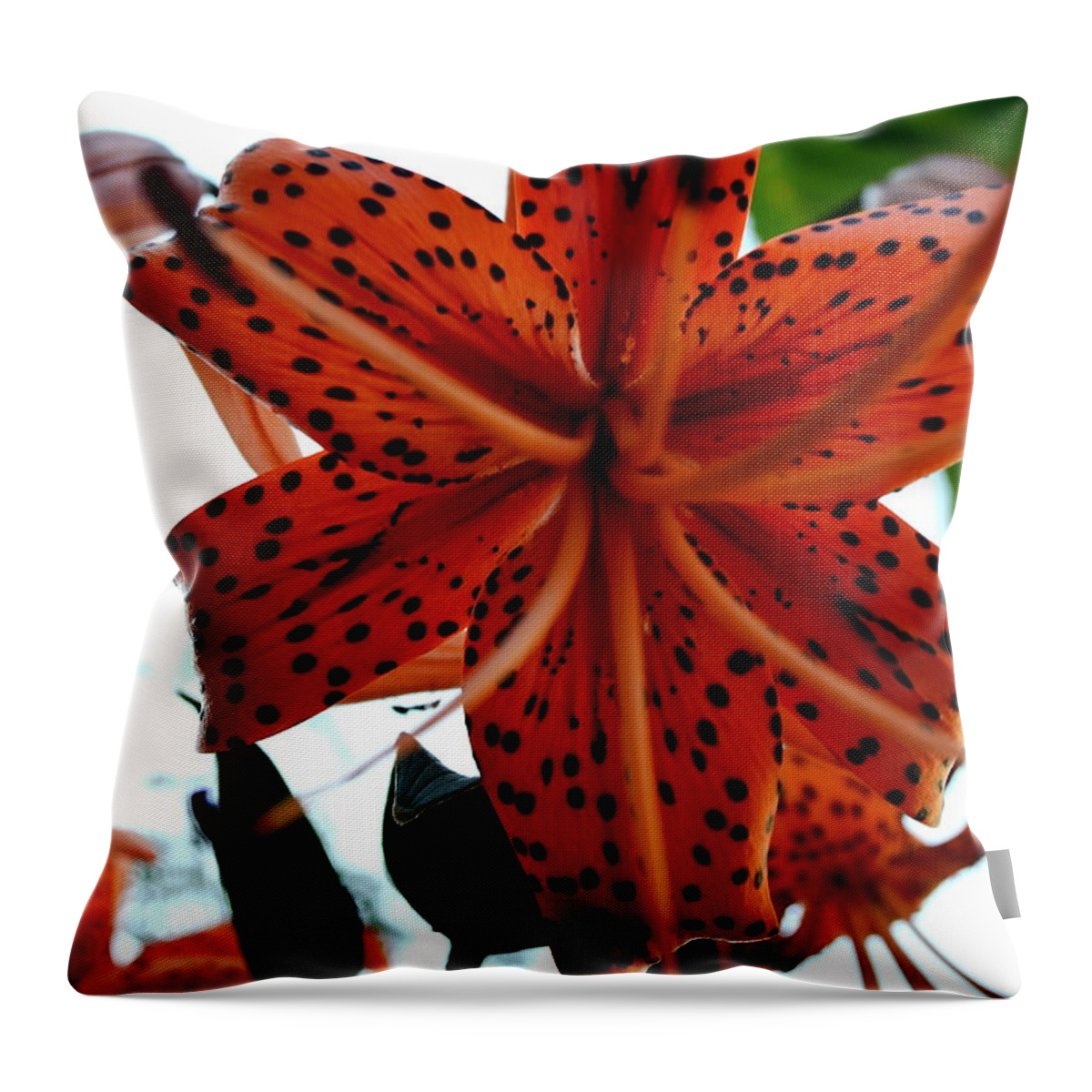 Dragon Throw Pillow featuring the photograph Dragon Flower by Gregory Merlin Brown