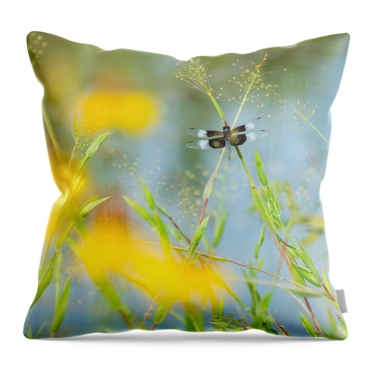 Dragonfly Throw Pillow featuring the photograph Dragonfly Beauty by Stacy Abbott