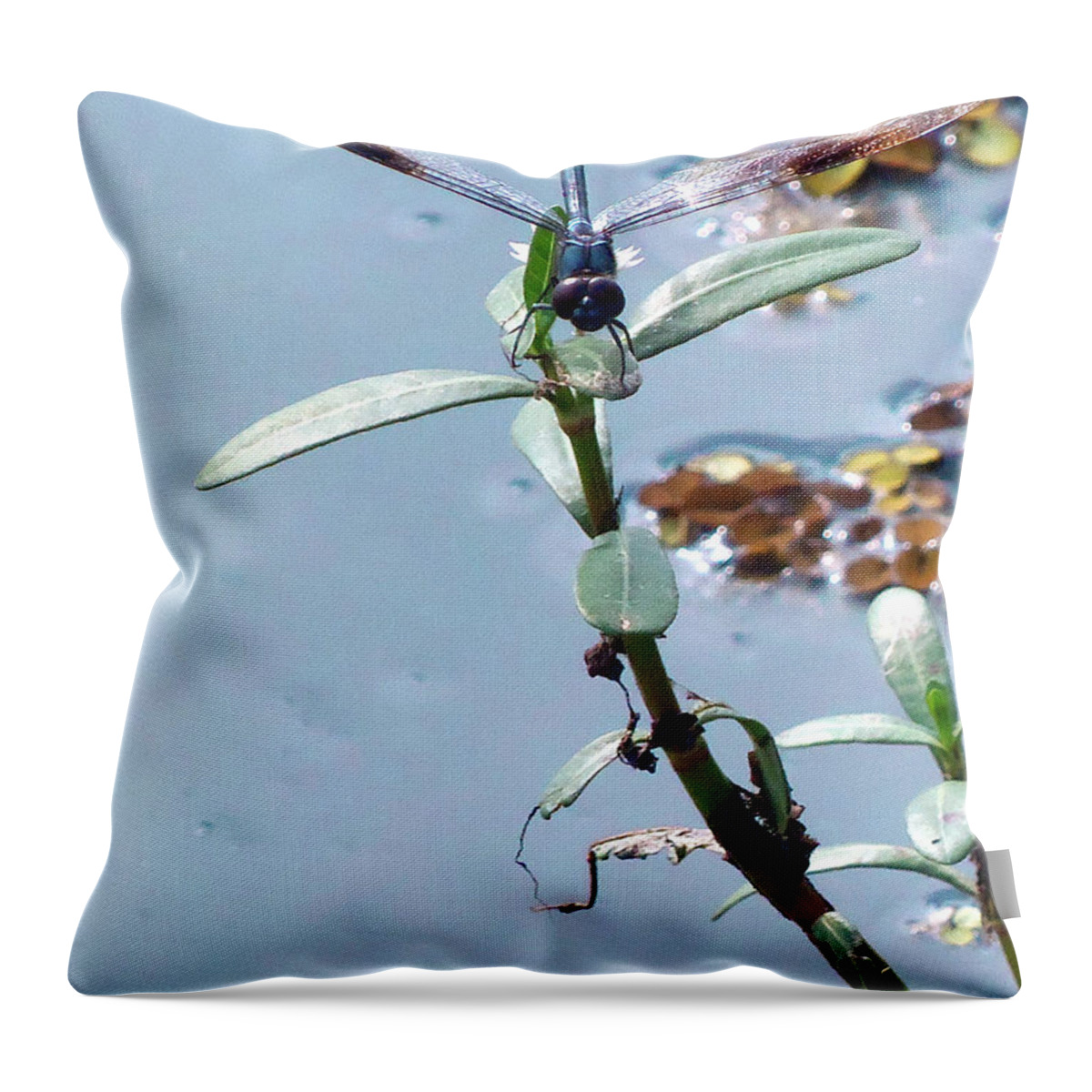 Dragonfly Throw Pillow featuring the photograph Dragonfly by Christopher Mercer